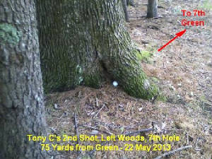 7thhole2ndshotb22may2013.jpg