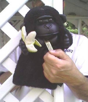 golfgorillahostage1.jpg