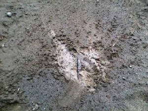 htd-root-of-evil-6th-6iron-60yds-28aug2013-1646.jpg