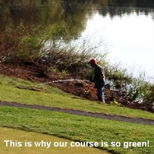 why-so-green-2014.jpg